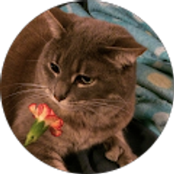 Profile photo of R B