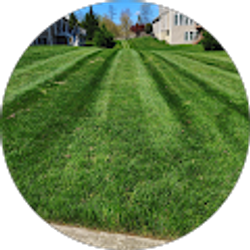 Profile photo of Alf reyes