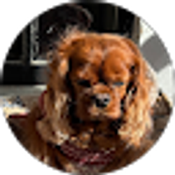 Profile photo of Dylan Lutz