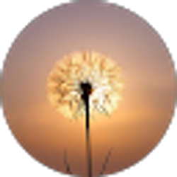 Profile photo of Mrs 4 Ever