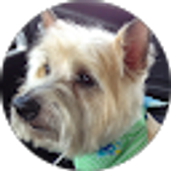Profile photo of Amanda Scott