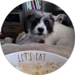 Profile photo of Jerry V