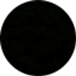 Profile photo of Jan