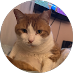 Profile photo of Sheenna Steuerwald