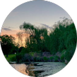 Profile photo of Austin Schwaderer