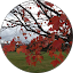 Profile photo of Virginia W