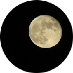 Profile photo of Belsin Mpr