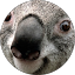 Profile photo of Derek Saner