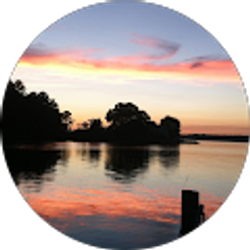 Profile photo of elizabeth broach