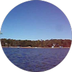 Profile photo of steve w.