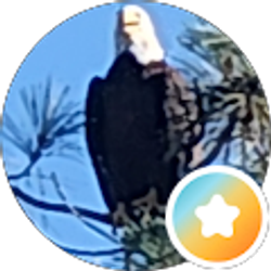 Profile photo of Derald Dreager