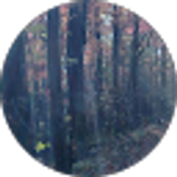Profile photo of Katie Tenbusch