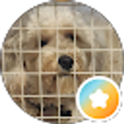Profile photo of Joyce