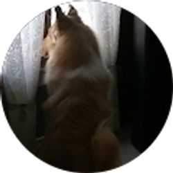 Profile photo of paula jensen