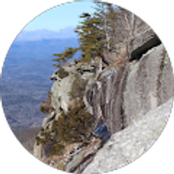 Profile photo of Yutaka Kusanagi