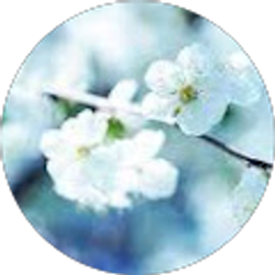 Profile photo of Jenna Rimkus