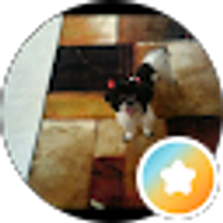 Profile photo of Miss T