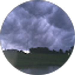 Profile photo of Troy Strunk