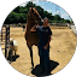 Profile photo of bradley bishop