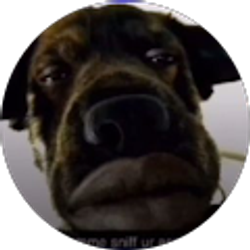 Profile photo of Deadkills Tv