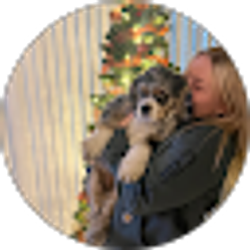 Profile photo of lily B