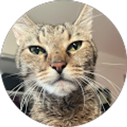 Profile photo of Carli