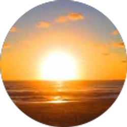 Profile photo of Diana Howard