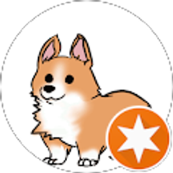 Profile photo of Amy Mclaughlin