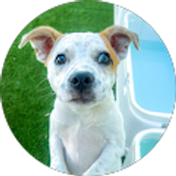 Profile photo of Michelle Barkwell