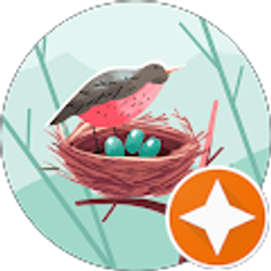 Profile photo of Rockin Robin