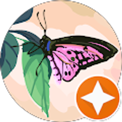 Profile photo of Megan Keller