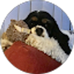 Profile photo of Ernie Ralston