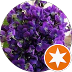 Profile photo of Violet Bynog