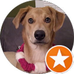 Profile photo of Damion Chadwick