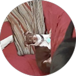 Profile photo of Craig Winstanley