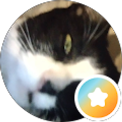 Profile photo of Tina Ray McCauley