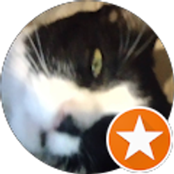 Profile photo of Tina Ray McCauley