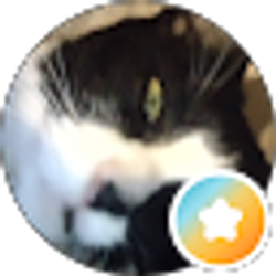 Profile photo of Tina Ray McCauley