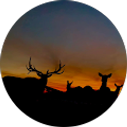 Profile photo of Hidden Branch Ranch