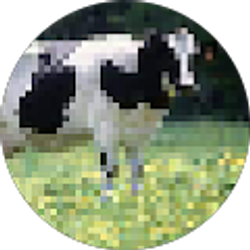 Profile photo of Gavin