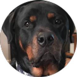 Profile photo of Nancy Powers