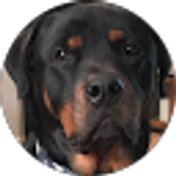 Profile photo of Nancy Powers