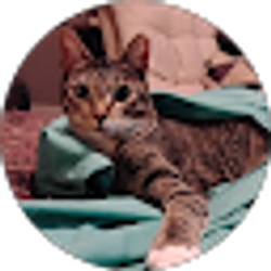 Profile photo of Monica Lee