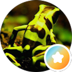 Profile photo of Monica Warren