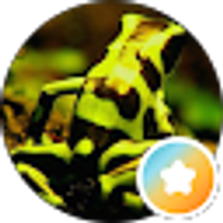 Profile photo of Monica Warren