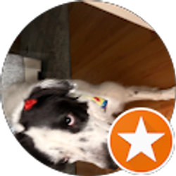 Profile photo of Sarah Bruton