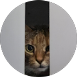 Profile photo of Britnee Tomlinson