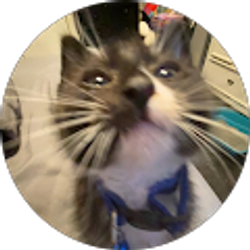 Profile photo of Ericka Barajas