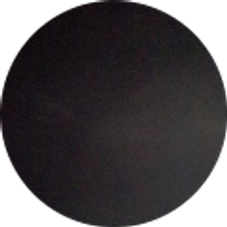 Profile photo of May Chen