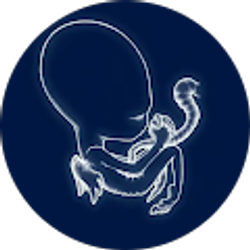 Profile photo of Leitandi